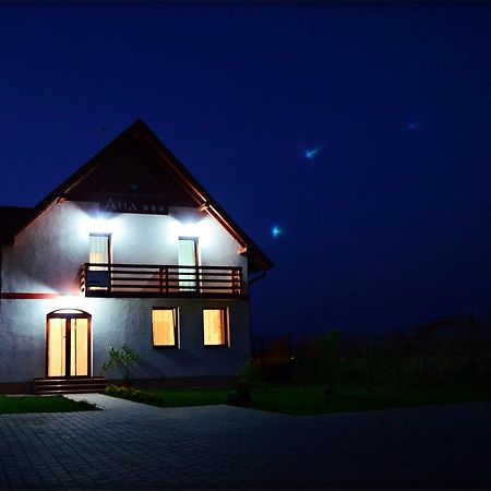 Pensiunea Ana Odoreu エクステリア 写真