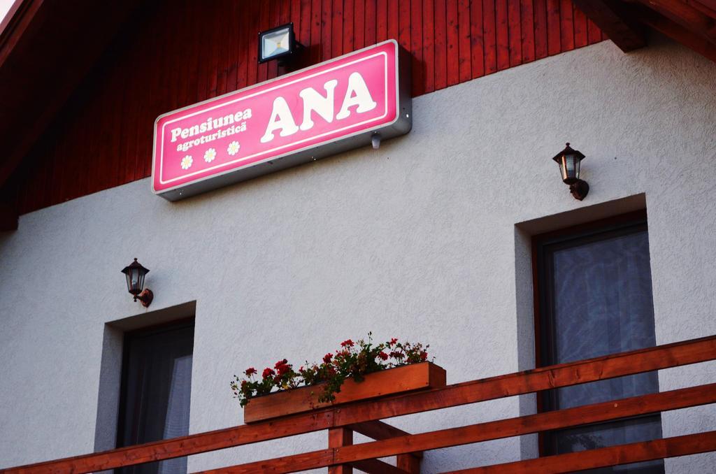 Pensiunea Ana Odoreu エクステリア 写真